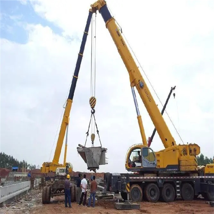 新昌小型吊机出租电话|厂房设备吊装方案|24小时服务覆盖